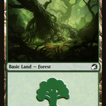 Forest (MID-384) - Innistrad: Midnight Hunt