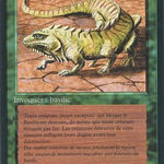Thicket Basilisk (FBB-218) - Foreign Black Border