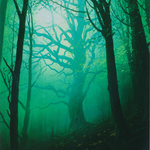 Forest (UST-216) - Unstable (Borderless)