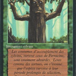 Ironroot Treefolk (FBB-204) - Foreign Black Border