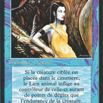 Creature Bond (FBB-055) - Foreign Black Border