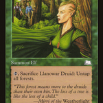 Llanowar Druid (WTH-) - Weatherlight