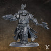 3d Printed Sir Gawein by DakkaDakka