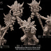 3D printed Barbarian Witch Doctor by Avatars of War