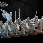 3d Printed  of Calix Knights On Foot x10 by Lost Kingdom Miniatures