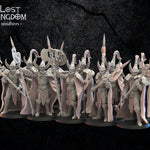3d Printed Dark Elf Hisu Guard x10 by Lost Kingdom Miniatures
