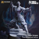 3D Printed Warrior Monk by DM Stash