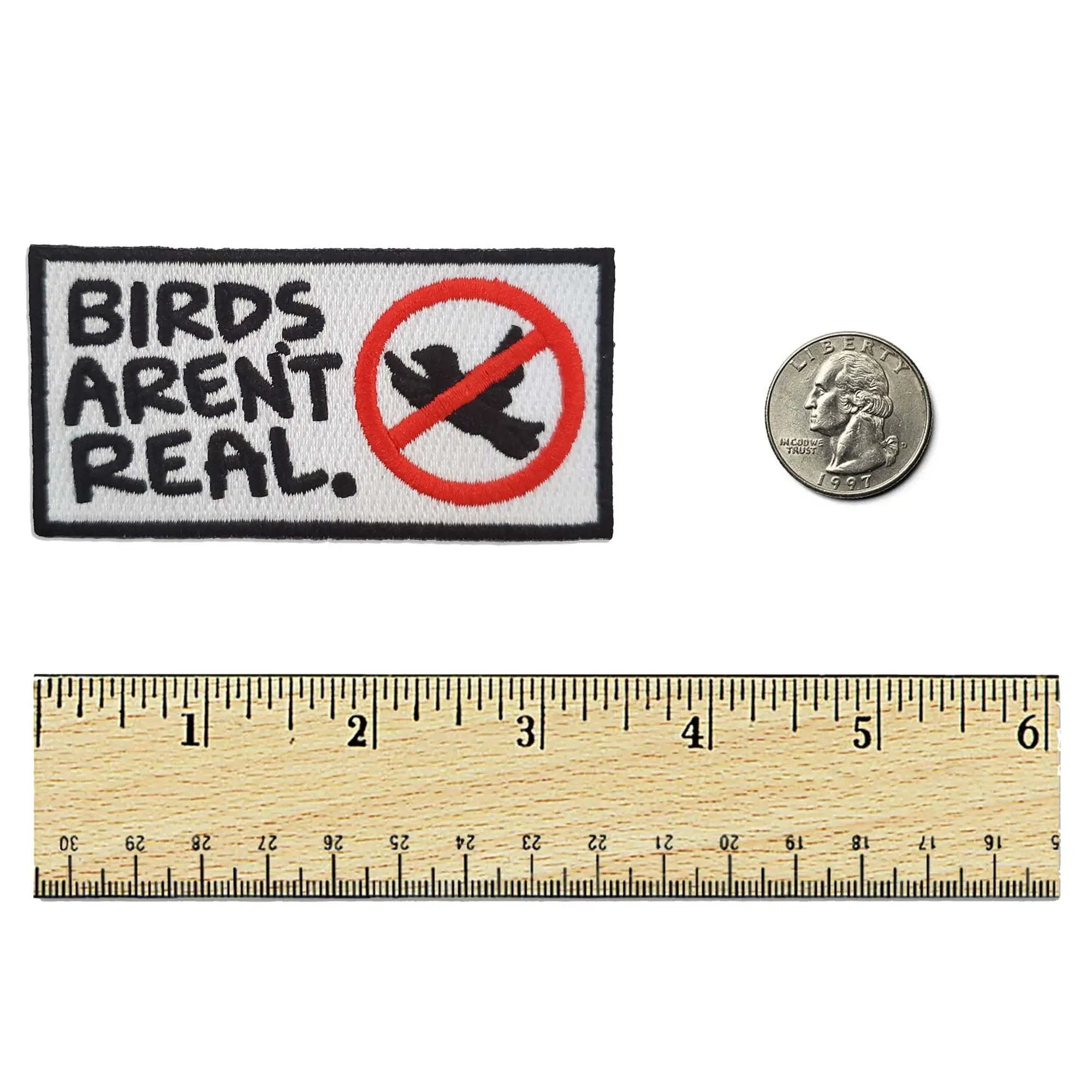 Kolorspun Birds Aren't Real patch featuring detailed embroidery on fabric for clothing or accessories.