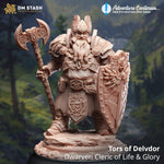3D Printed Dwarf Cleric by DM Stash by Last Hope Miniatures