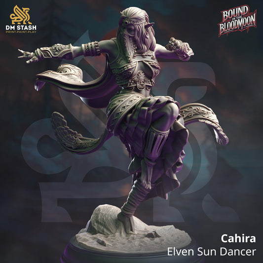 3D Printed Cahira - Elven Sun Dancer by DM Stash