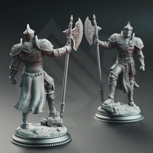 3D Printed Knight of the Tower by DM Stash
