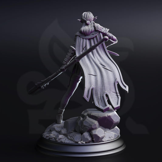 3D Printed Drow Pathfinder by DM Stash