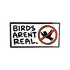 Kolorspun Birds Aren't Real pin featuring a detailed design, perfect for displaying a humorous message on clothing or accessories.