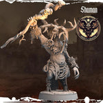 3D printed Chaos Beast Shaman miniature by Last Hope Miniatures, showing detailed sculpt with intricate armor and beastly features.