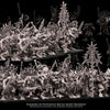 3D printed Demons of Pestilence miniatures by Last Hope Miniatures for Avatars of War, showcasing detailed demonic figures.