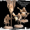 3D printed Goblin Warlock Command Group by Last Hope Miniatures, featuring detailed goblin figures with magical accessories.