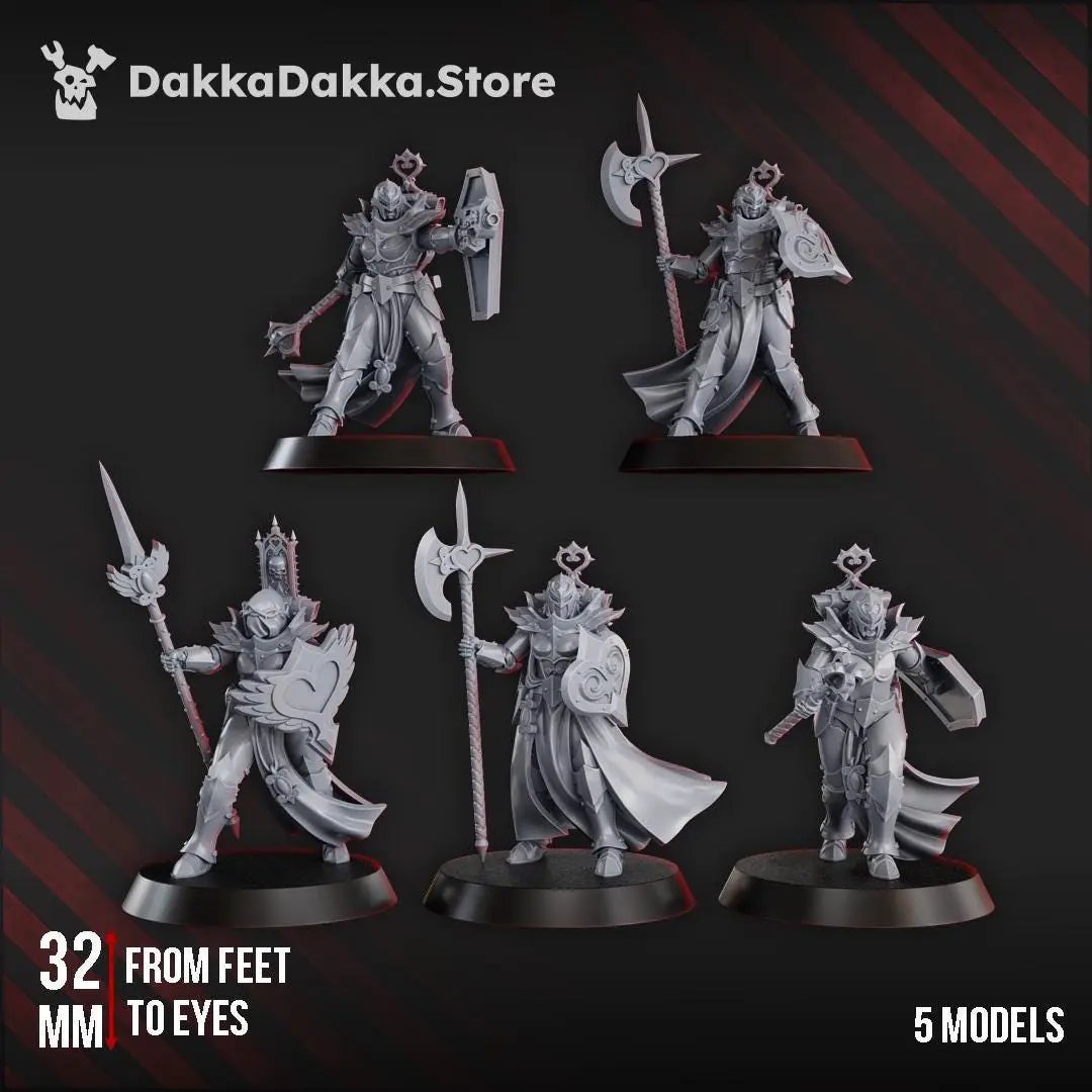 Five 3D printed Maidens of Praesidium miniatures by Last Hope Miniatures for DakkaDakka, featuring detailed armor and fantasy design.