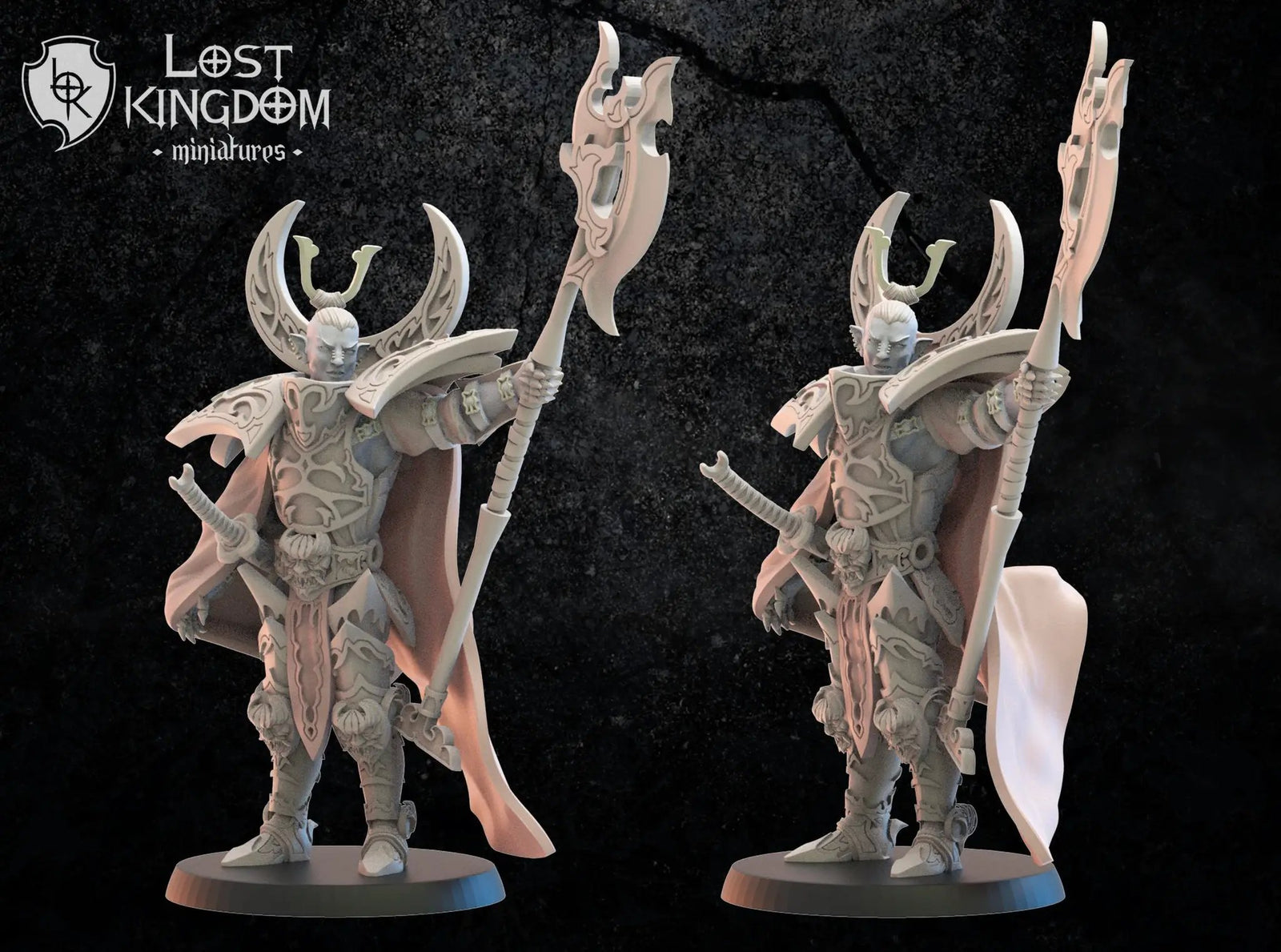 3D printed Dark Elf Hero Junichiro model by Last Hope Miniatures, detailed fantasy figure with armor and weapon, front view.