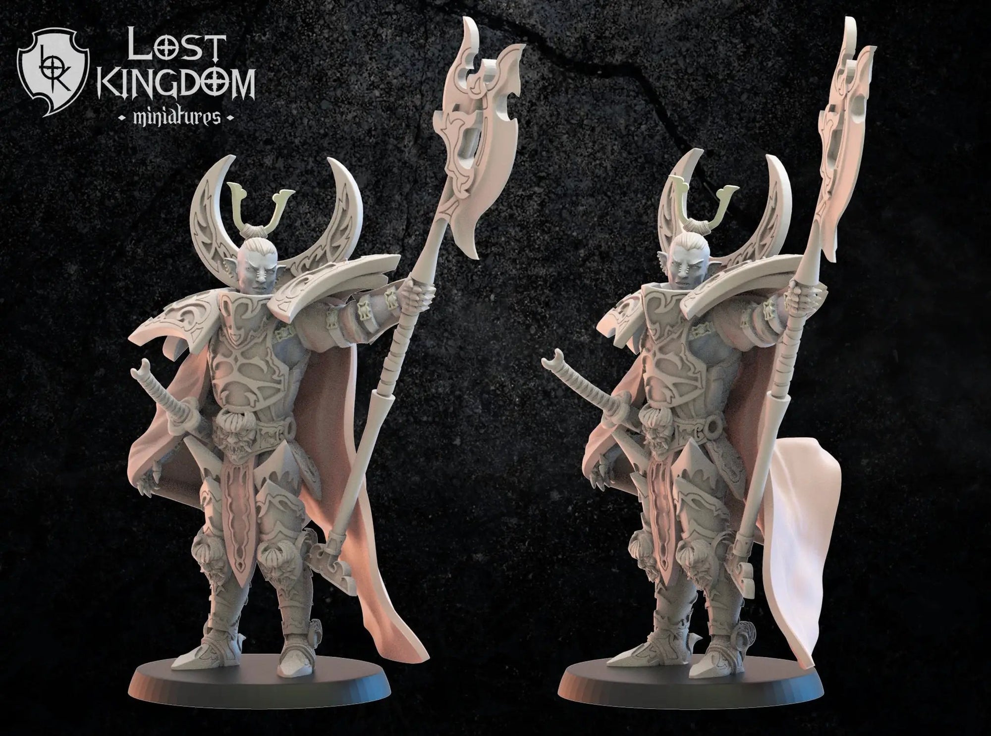 3D printed Dark Elf Hero Junichiro model by Last Hope Miniatures, detailed fantasy figure with armor and weapon, front view.