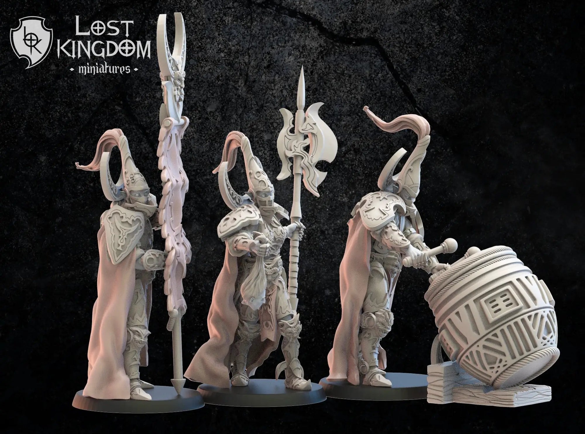 3D printed Dark Elf Hisu Guard Command Group miniature by Last Hope Miniatures, featuring detailed dark elf models on a display stand.