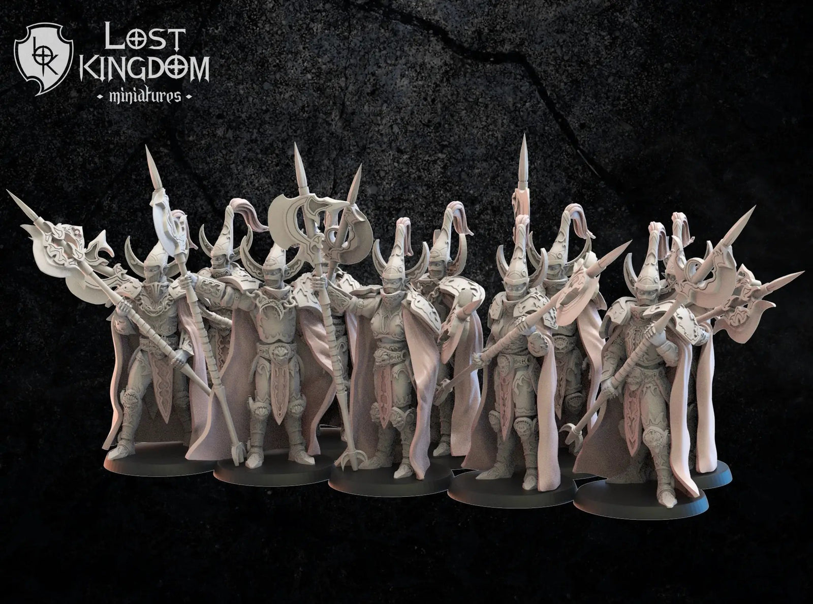Three 3D-printed Dark Elf Hisu Guard models by Last Hope Miniatures, detailed black fantasy miniature figures.