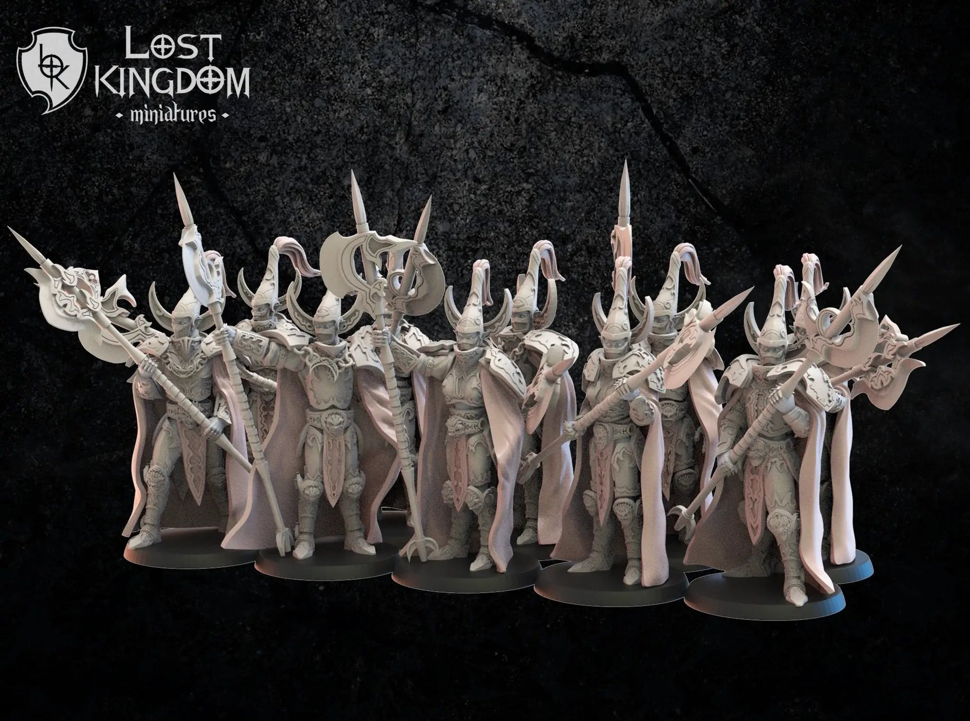 Three 3D-printed Dark Elf Hisu Guard models by Last Hope Miniatures, detailed black fantasy miniature figures.