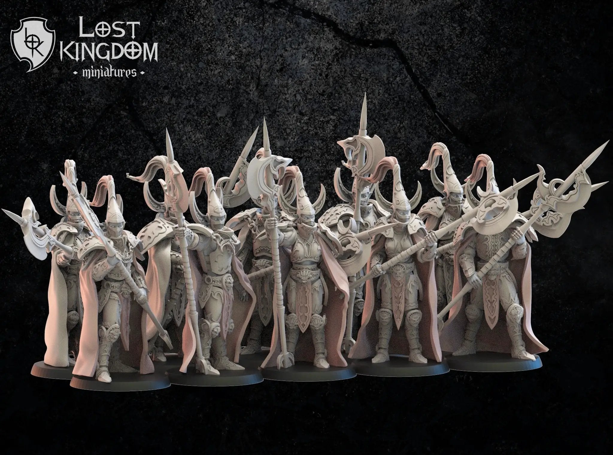 Set of 10 3D printed Dark Elf Hisu Guard miniatures by Lost Kingdom Miniatures, detailed fantasy model figures on a white background.