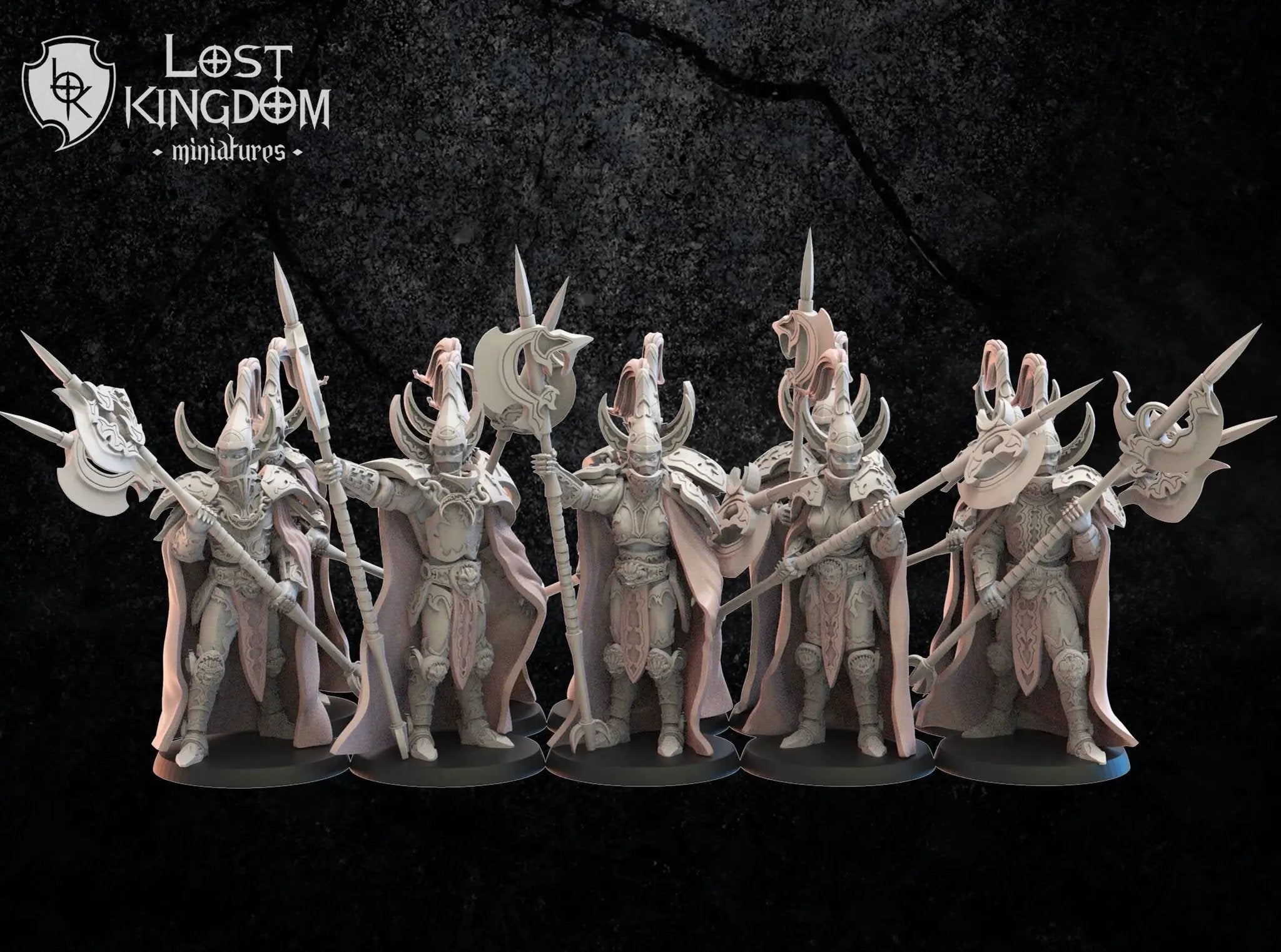 Ten 3D printed Dark Elf Hisu Guard models by Last Hope Miniatures, detailed miniature figures from Lost Kingdom Miniatures.