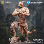3D printed Dragonborn Fighter model by Last Hope Miniatures, featuring detailed scales and armor design for tabletop gaming.