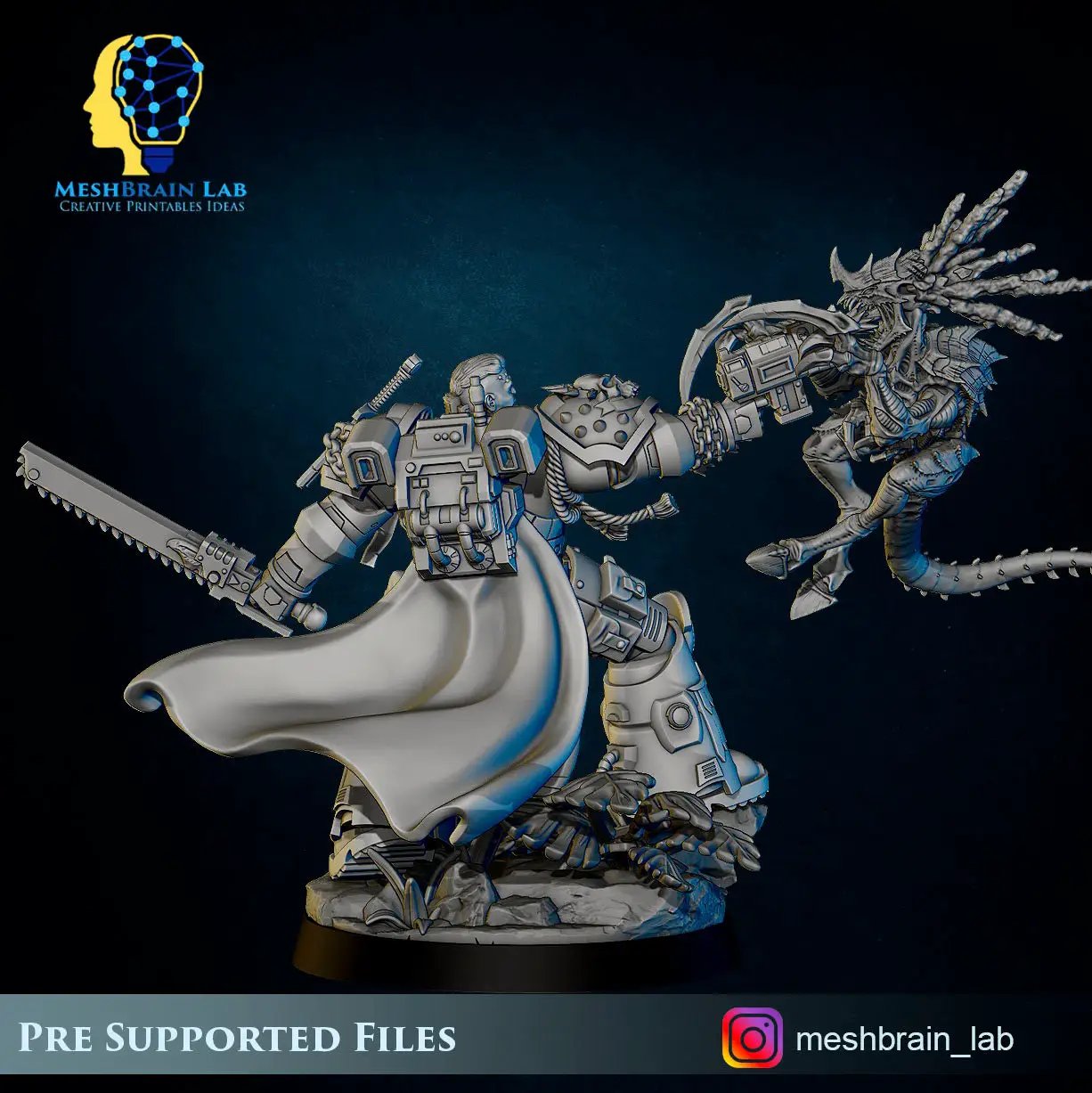 3D printed Imperial Marine and Swarm Warrior model by Last Hope Miniatures, featuring detailed sci-fi miniature figures.