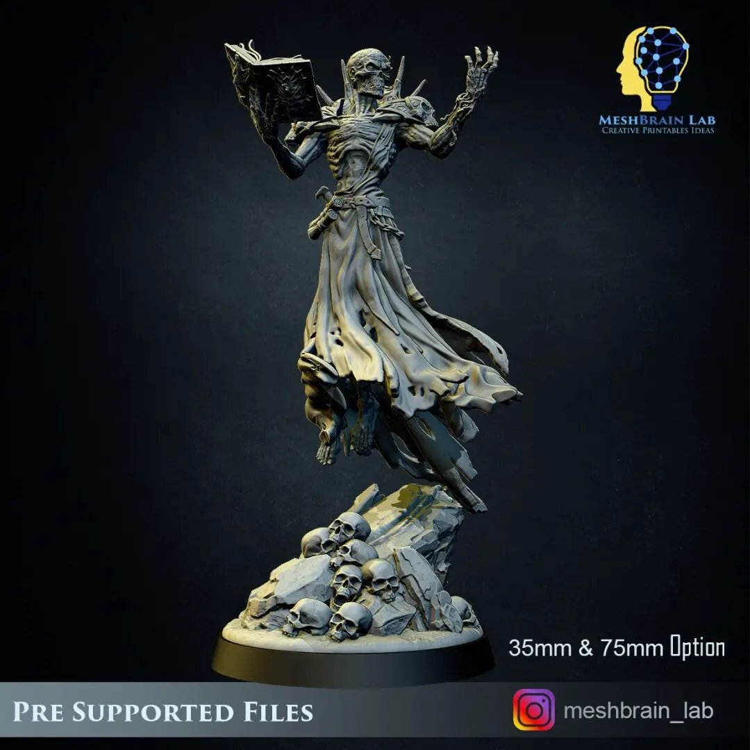 3D printed Lich Lord model by Meshbrain Labs, detailed undead fantasy figure from Last Hope Miniatures.
