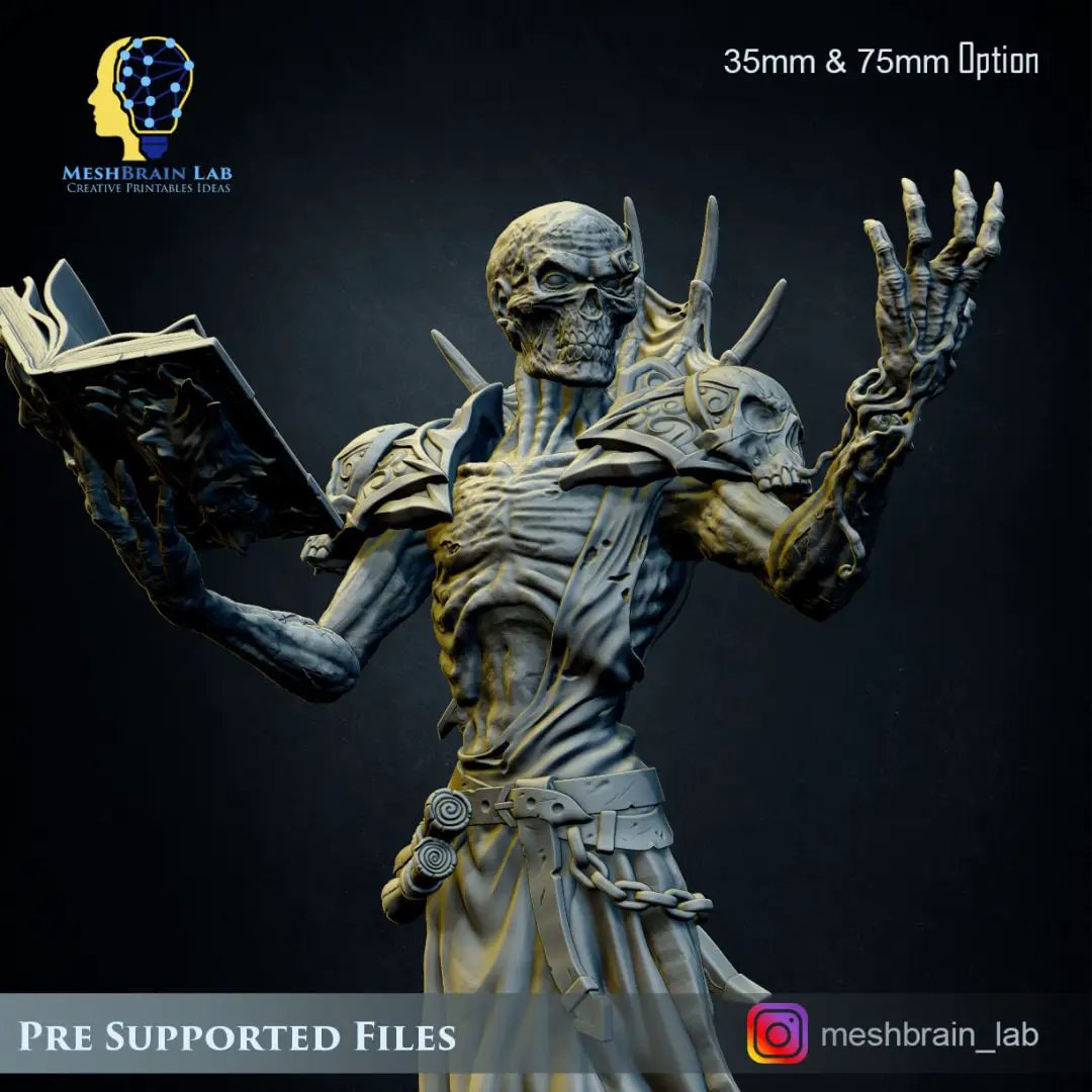 3D printed Lich Lord model by Meshbrain Labs from Last Hope Miniatures, featuring detailed undead sorcerer with staff and dark robes.