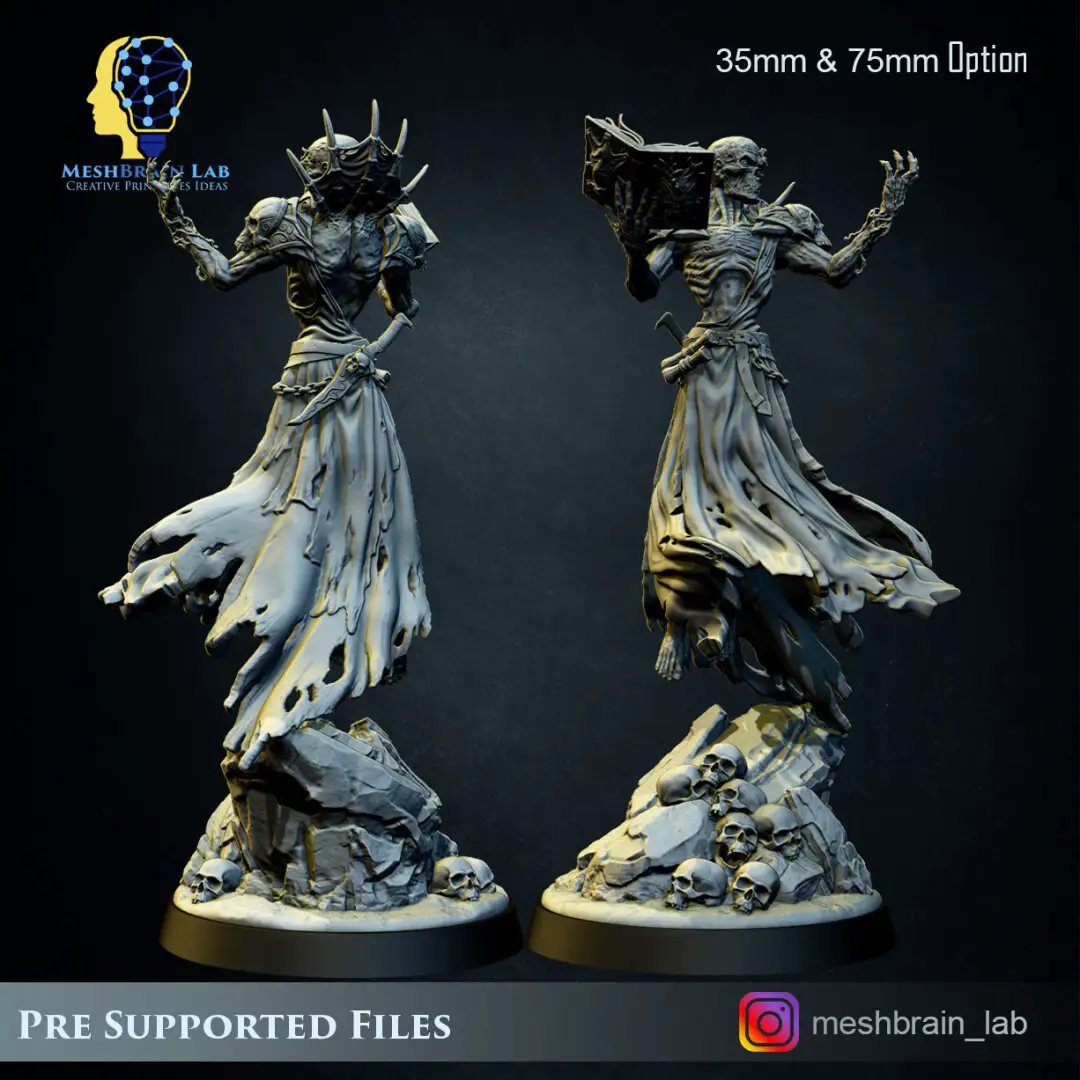 3D printed Lich Lord model by Meshbrain Labs for Last Hope Miniatures, featuring detailed undead sorcerer with intricate design.