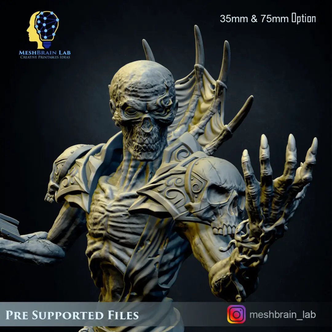 3D printed Lich Lord model by Meshbrain Labs, detailed undead sorcerer miniature from Last Hope Miniatures.