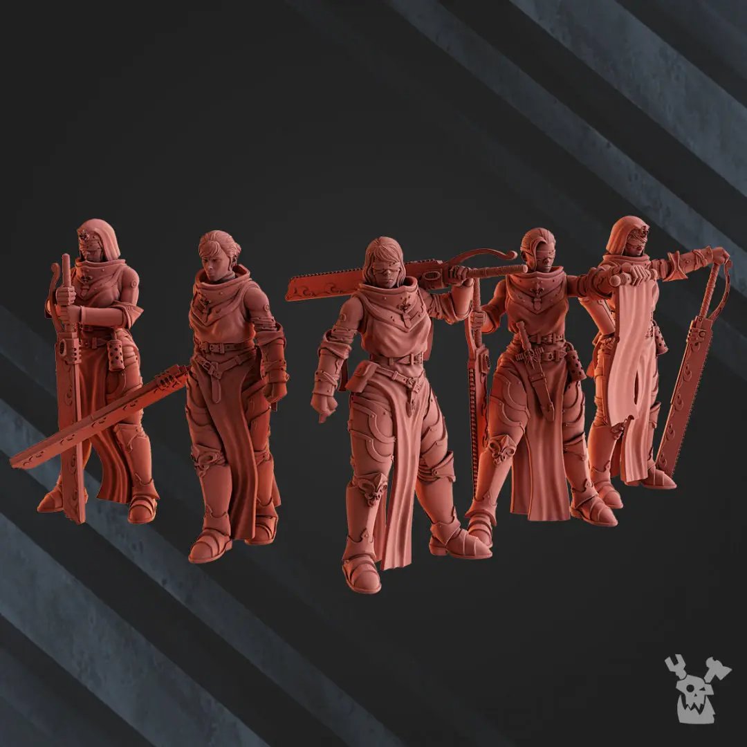 3D printed Battle Sisters Squad of five models by Last Hope Miniatures, detailed Warhammer 40K figurines from DakkaDakka.