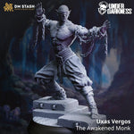 3D printed Warrior Monk model by Last Hope Miniatures, detailed warrior figure with armor and weapon, part of DM Stash collection