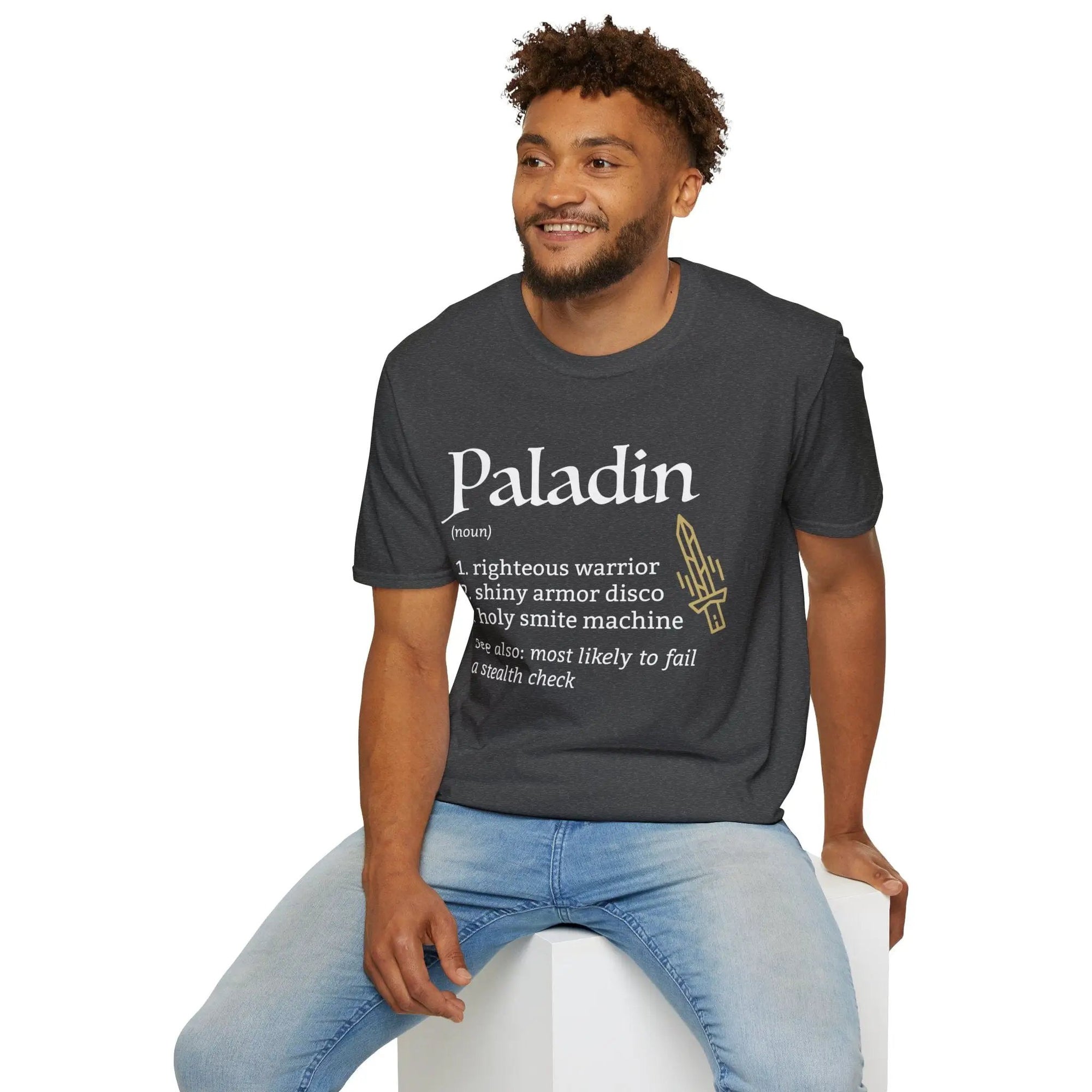 Sunburst RPG Paladin Class Definition D&D T-Shirt featuring bold printed text on a comfortable cotton fabric.