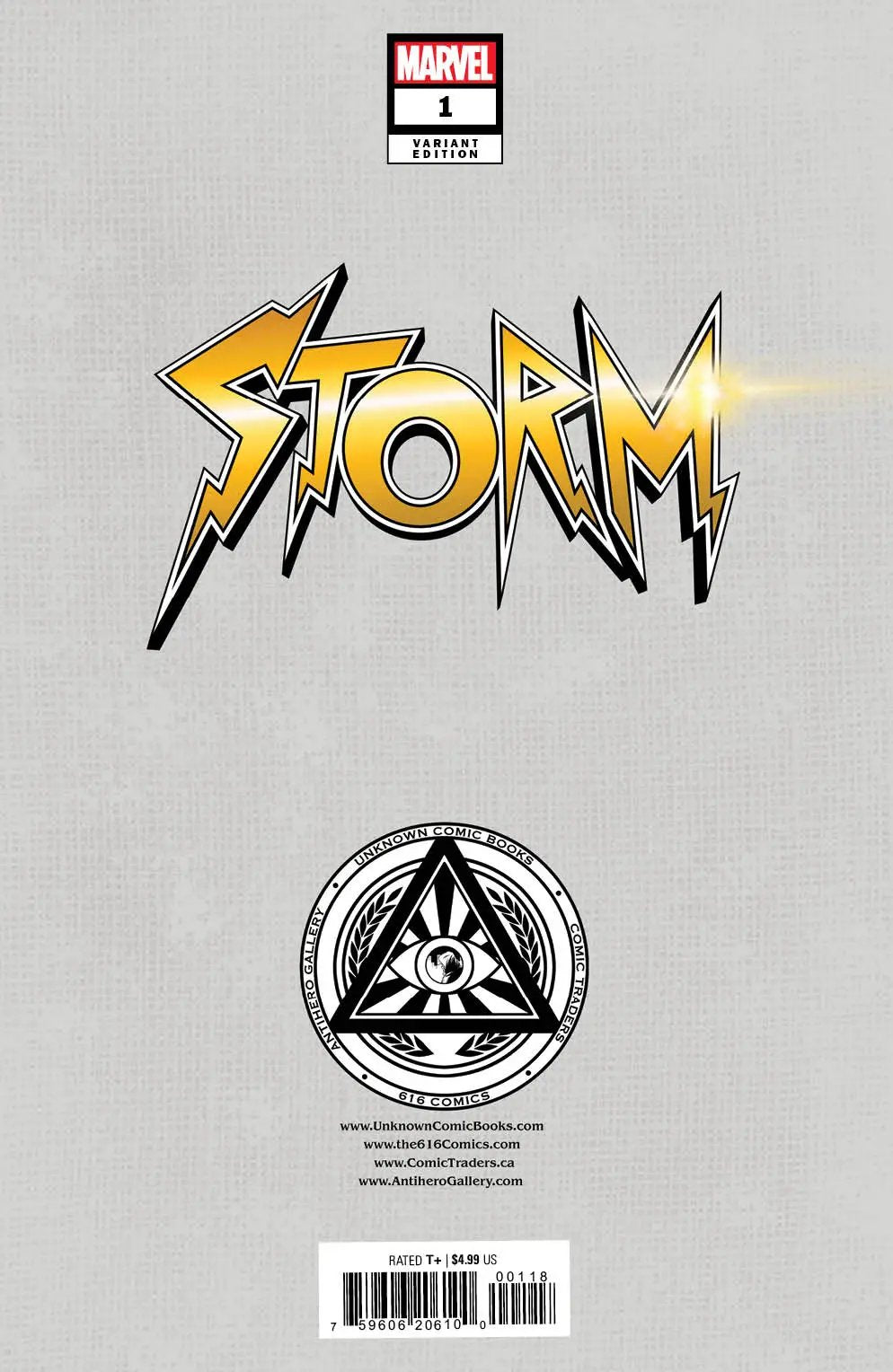Storm #1 comic book by Unknown Comic Books, Sabine Rich exclusive Virgin variant cover, featuring vibrant comic art.